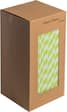 9INCH - Light Green & White Paper Straws