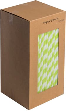 9INCH - Light Green & White Paper Straws