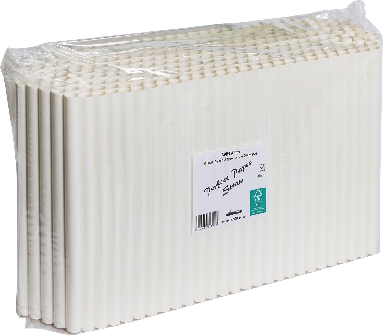 9INCH - White Paper Straws